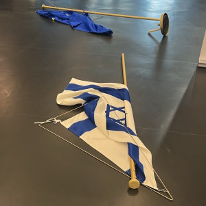 MEP Franċiża tneħħi bandiera Iżraeljana mill-Parlament Ewropew; Metsola twissi b’azzjoni