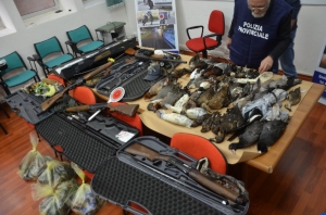 12-il kaċċatur Malti miżmum mill-awtoritajiet fi Sqallija