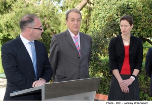 Jissewwew 700 kelb u qattus tat-triq