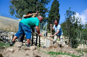 L-Awtorità għall-Azzjoni Klimatika tħawwel siġar fl-anniversarju mit-twaqqif tagħha