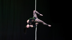 L-arti akrobatika fl-ajru: il-popolarità ta’ dan l-isport f’Malta