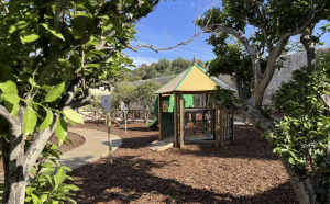 Baġit 2026 | Aktar spazji ħodor u investiment f’immaniġġjar sostenibbli tal-iskart