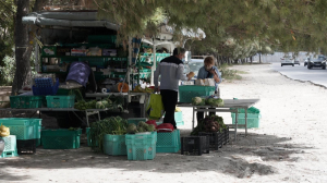 Il-Qorti tiċħad kawża tal-pitkala kontra l-Ministeru tal-Agrikoltura