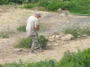 Raġel jinqabad jaqbad u joqtol għasfur protett f’Għawdex
