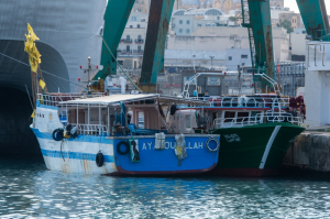 Sajjieda Maltin jixħtu dawl fuq bastimenti Tuneżini li kienu qed jiksru r-regolamenti