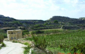 Nieħdu l-ambjent tagħna lura