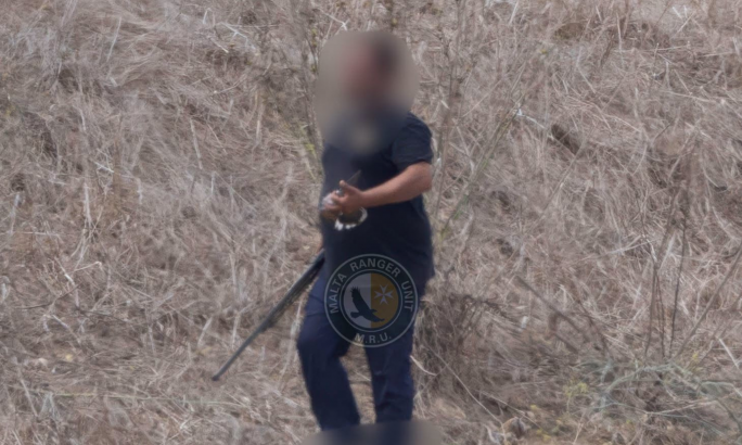 Kaċċatur jinqabad jispara fuq gamima erba’ sigħat wara li ngħalaq l-istaġun
