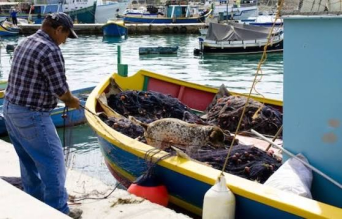 Budget 2027: Aktar fondi għall-ħarsien tal-ambjent u appoġġ lill-bdiewa u s-sajjieda