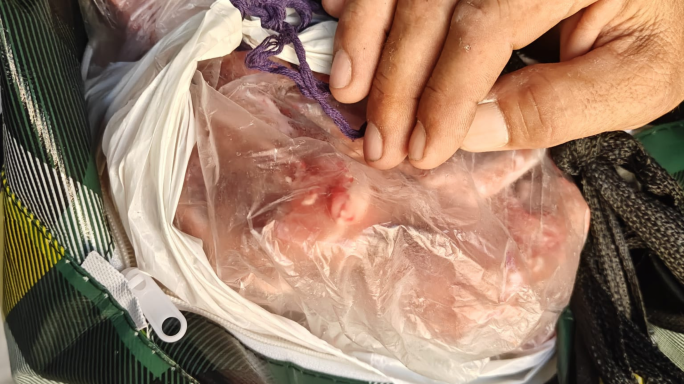 Konfiskati prodotti tal-ikel li ddaħħlu Malta bi ksur tar-regolamenti tas-sigurtà tal-ikel