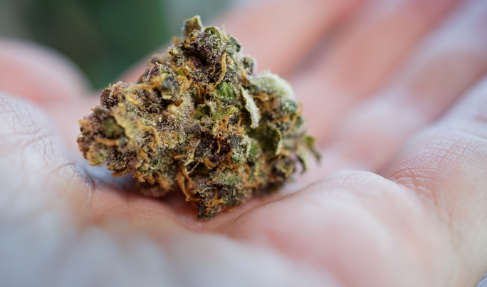 Ħaddiem tal-WasteServ mixli b'pussess ta' kannabis wara li allegatament pejjep  joint waqt ix-xogħol