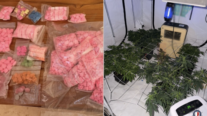 Erbgħa mixlija bit-traffikar tad-droga, inkluża mara tqila li mistennija twelled ġimgħat oħra