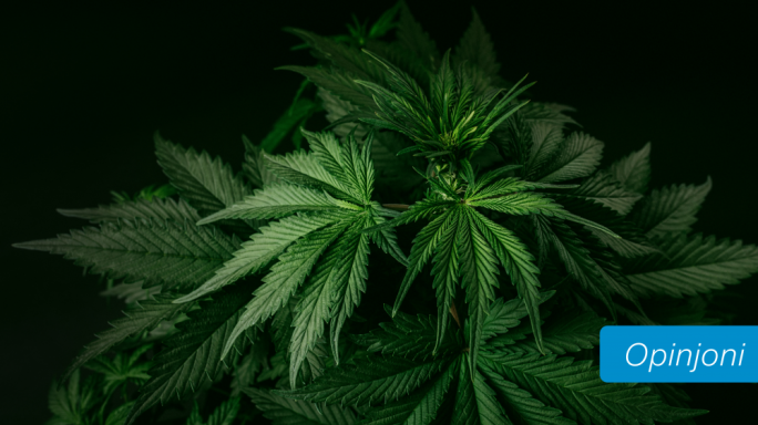 Joey Reno Vella | Riżultati bbażati fuq il-fatti: riforma li qed taħdem