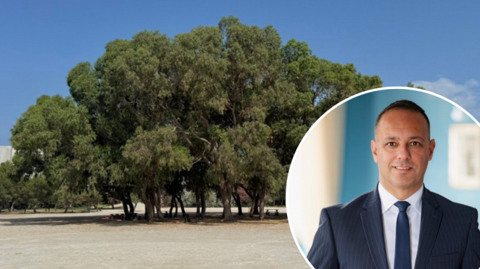 Jason Micallef jikkundanna l-‘fake news’ wara t-tħassib dwar il-ġebel imqiegħed fiż-żona tal-picnic ta’ Ta’ Qali