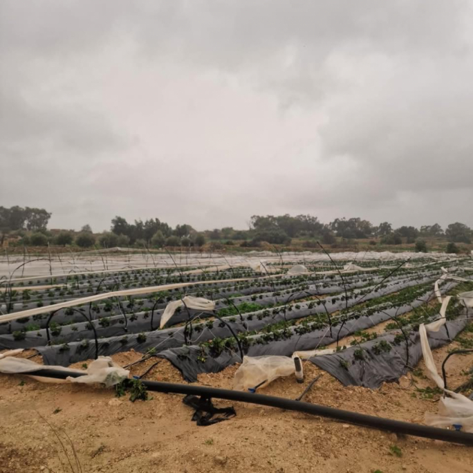 Ċiklun wieħed, realtà fost il-bdiewa li ma nistgħux nibqgħu ninjoraw