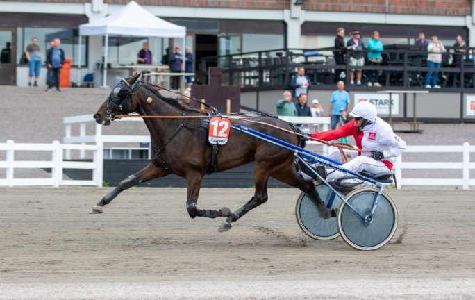 Kritika qawwija dwar il-kundizzjoni tal-korsa u dewmien fil-premjijiet fil-Malta Racing Club