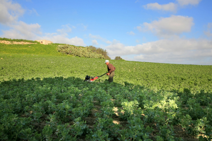 Malta tingħaqad ma’ 16 il-pajjiż tal-UE kontra aktar tnaqqis fil-fondi għall-agrikoltura u l-koeżjoni