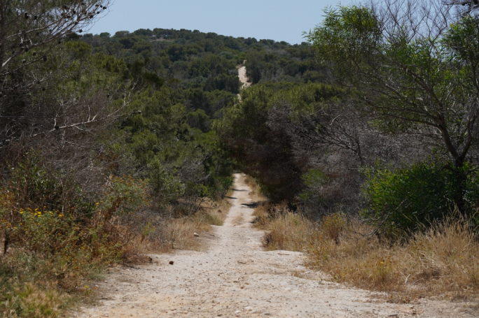 Operatur tal-Aħrax akkużat b’okkupazzjoni illegali