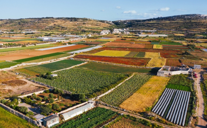 Argument bejn ġirien jispiċċa bi vjolenza u sentenza tal-qorti