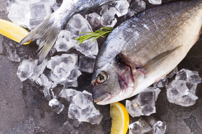 Fish Fridays: programm mobbli se jdur l-iskejjel biex iħeġġeġ ikel aktar b’saħħtu