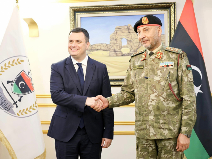 Kap tal-Armata Libjana fost tmien persuni li mietu f’ħabta b'jet irreġistrat Malta