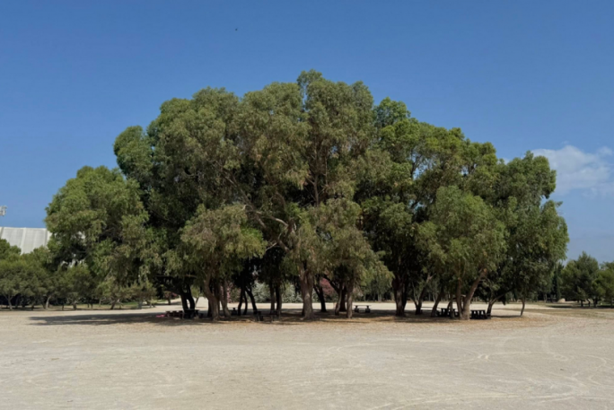 Ritratt: James Bianchi/MaltaToday