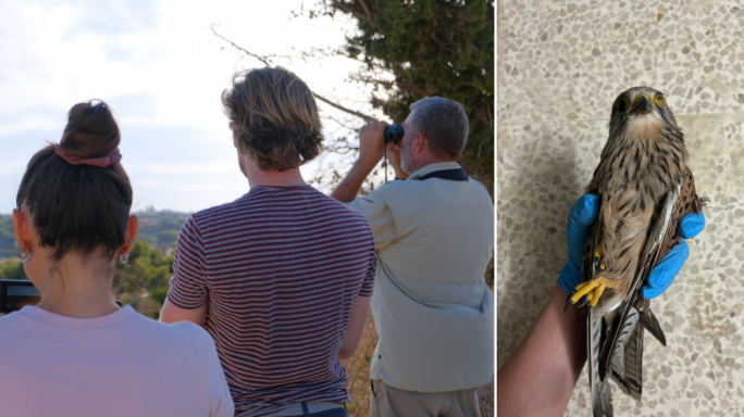 Pulizija jduru wara li jibdew l-ħinijiet tal-kaċċa, tgħid BirdLife