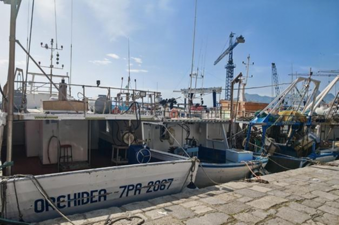 Sajjieda Sqallin jheddu li jibdlu l-bandiera Taljana għal waħda Maltija